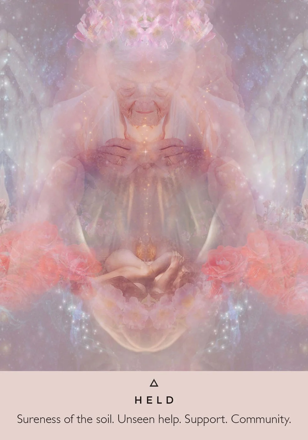 The Rose Oracle Cards